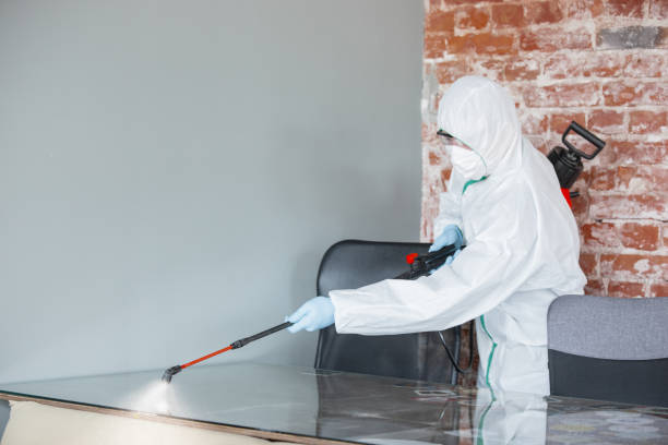 Best Forensic Mold Investigation in Tuntutuli, AK